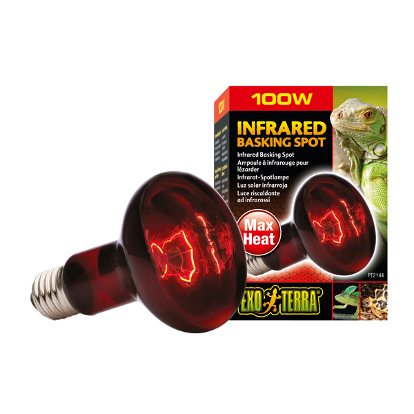 Afbeelding Exo Terra - Infrared Basking Spot door Petsplace.nl