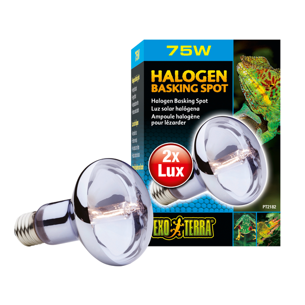 Afbeelding Exo Terra Halogen Basking Spot E27 - Verlichting - 75 Watt Daylight door Petsplace.nl