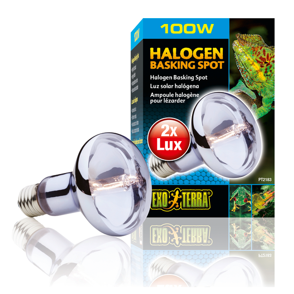 Afbeelding Exo Terra Halogen Basking Spot E27 - Verlichting - 100 Watt Daylight door Petsplace.nl