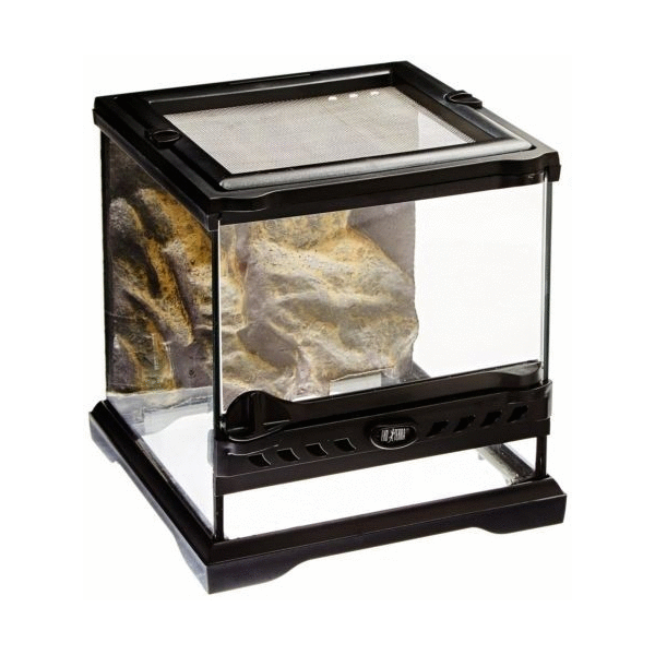 Afbeelding Exo Terra Nano Wide Terrarium - Terraria - 20x20x20 cm door Petsplace.nl
