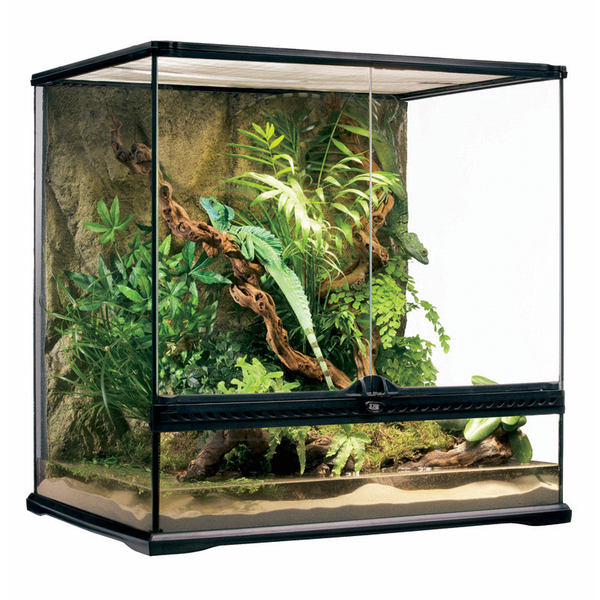 Afbeelding Exo Terra Glas Terrarium Zwart - Terraria - 60x45x60 cm door Petsplace.nl