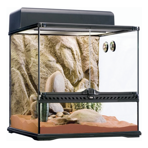 Afbeelding Exo Terra Habitat Kit Desert Medium - Terraria - 45x45x45 cm Zwart door Petsplace.nl