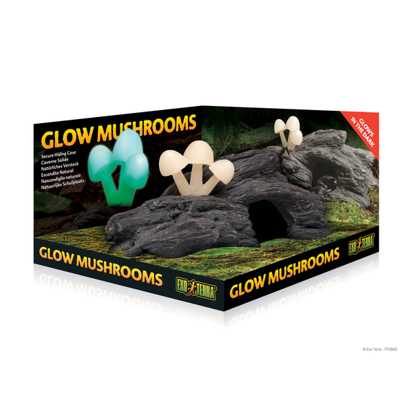 Afbeelding Exo Terra - Crane Glow Mushrooms door Petsplace.nl
