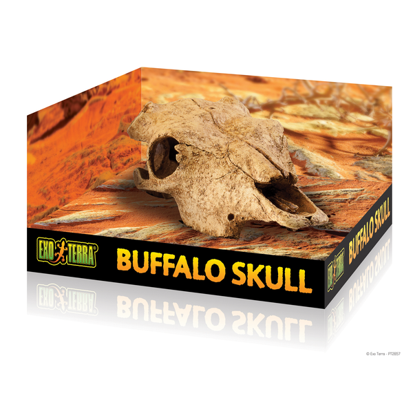 Afbeelding Exo Terra - Buffalo Skull door Petsplace.nl
