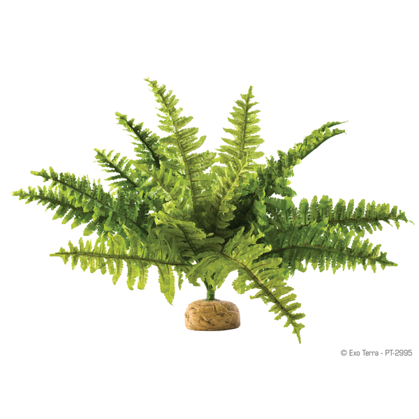Afbeelding Exo Terra Rainforest Plant Boston Fern - Kunstplanten - Small door Petsplace.nl