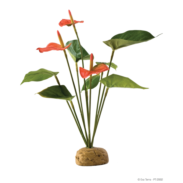 Afbeelding Exo Terra Rainforest Plant Anthuriumbush - Kunstplanten - per stuk door Petsplace.nl