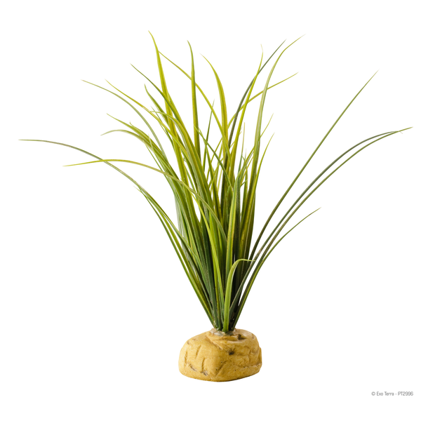 Afbeelding Exo Terra Ground Plant Turtle Grass - Kunstplanten - per stuk door Petsplace.nl
