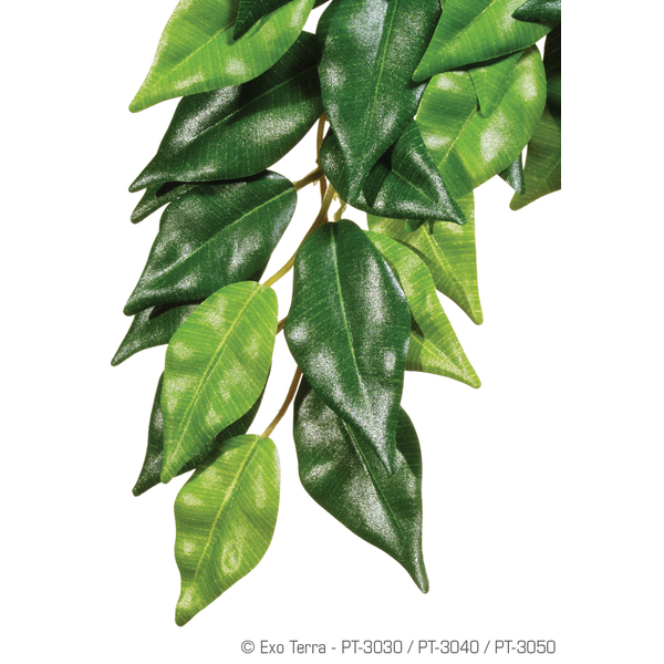 Exo Terra Rainforest Plant Ficus - Kunstplanten - Small