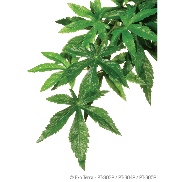 Afbeelding Exo Terra Rainforest Plant Abutilon - Kunstplanten - Small Silk door Petsplace.nl