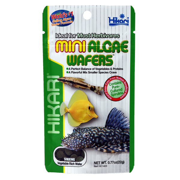 Hikari Mini Algae Wafers - Vissenvoer - 22 g