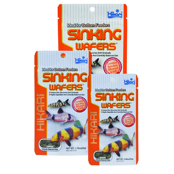 Afbeelding Hikari Sinking Wafers - Vissenvoer - 50 g door Petsplace.nl