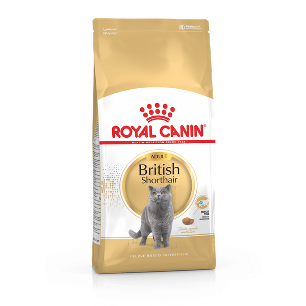Afbeelding Royal Canin Adult British Shorthair kattenvoer 10 kg door Petsplace.nl