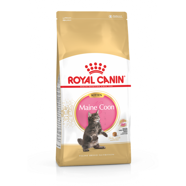 Afbeelding Royal Canin Fbn Kitten Maine Coon - Kattenvoer - 400 g door Petsplace.nl