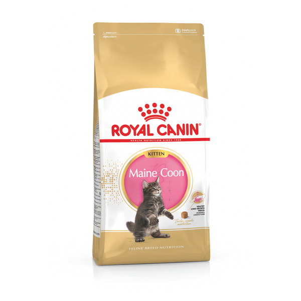Afbeelding Royal Canin Kitten Maine Coon kattenvoer 2 kg door Petsplace.nl