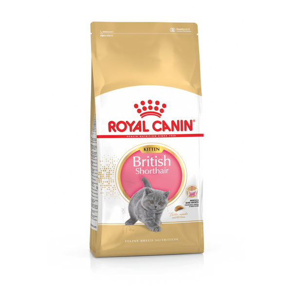 Afbeelding Royal Canin Kitten British Shorthair kattenvoer 2 kg door Petsplace.nl