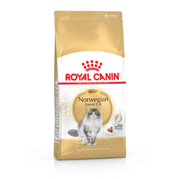 Afbeelding Royal Canin Adult Norwegian Forest Cat kattenvoer 10 kg door Petsplace.nl