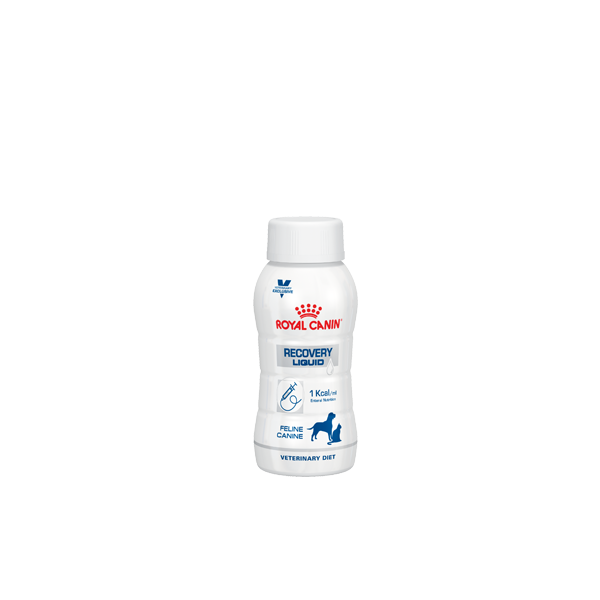 Royal Canin Veterinary Diet Recovery Liquid Hond & Kat 3 x 200 ml