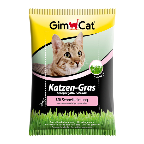 Afbeelding GimCat Kattengras in Snelkiemzakje - THT 31-01-2019 door Petsplace.nl