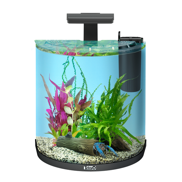 Afbeelding Tetra Aquarium Explorer Line 30 - Aquaria - 25x40x40 cm Ca. 30 L door Petsplace.nl