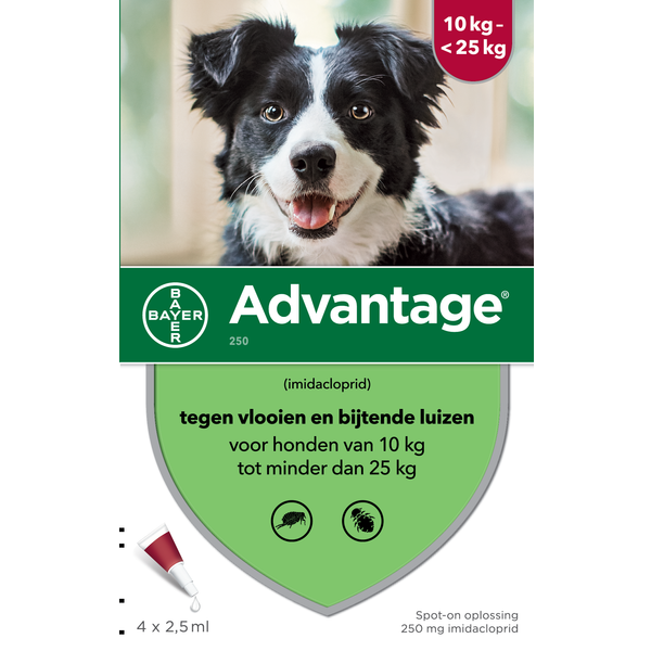 Advantage Nr. 250 vlooienmiddel (10 tot 25kg) hond Per verpakking