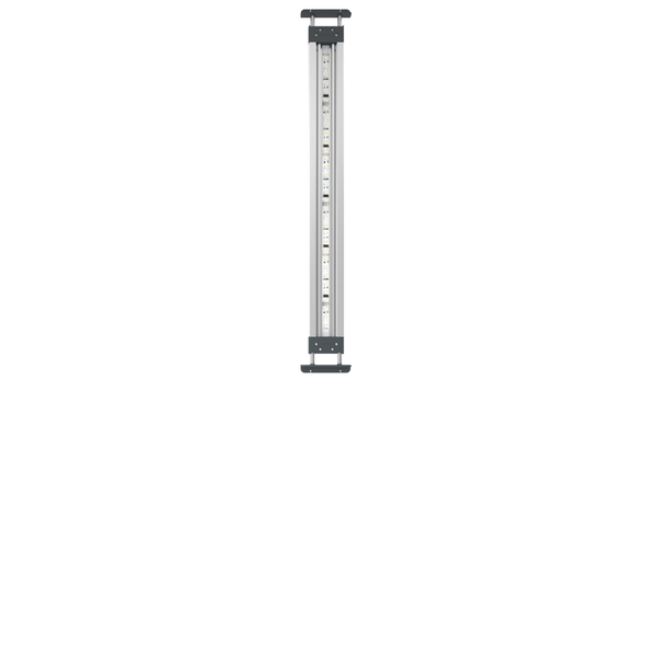 Oase Highline Premium Led 65 - Verlichting - 76x13x8 cm Wit 47 Watt