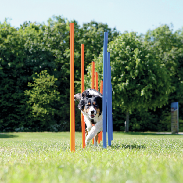 Trixie dog activity agility slalom stokken blauw / oranje 115x3 cm 12 st