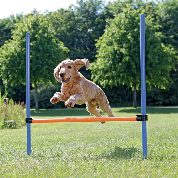 Afbeelding Trixie Dog Activity Agility Horde - Hondensport - 123x115x3.0 cm Blauw Oranje door Petsplace.nl