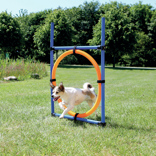Afbeelding Trixie dog activity agility ring blauw / oranje 65x3x115 cm door Petsplace.nl