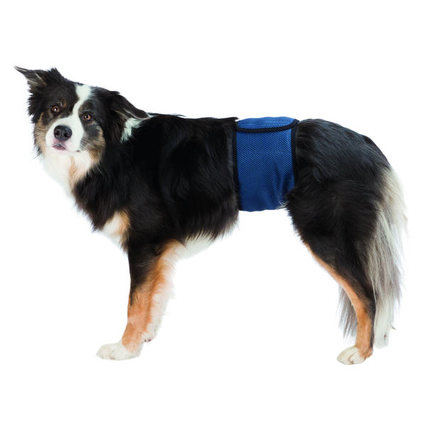 Afbeelding Trixie Plasband voor Reuen - S/M door Petsplace.nl