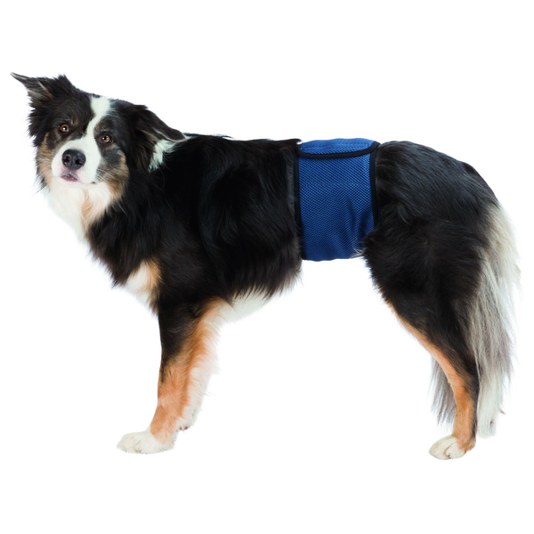 Afbeelding Trixie Plasband voor Reuen - XL door Petsplace.nl