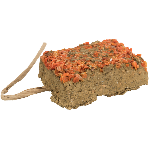 Afbeelding Trixie Kleisteen Wortelen - Supplement - 100 g door Petsplace.nl
