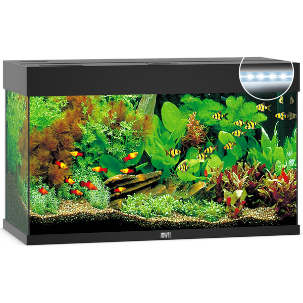 Juwel Aquarium Rio 125 Led 80x35x50 cm - Aquaria - Zwart Ca. 125 L