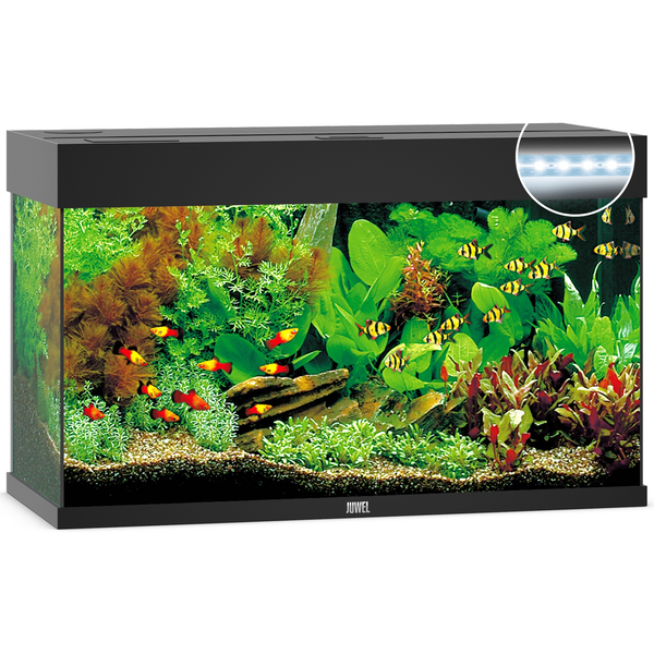 Afbeelding Juwel Aquarium Rio 125 Led 80x35x50 cm - Aquaria - Zwart Ca. 125 L door Petsplace.nl