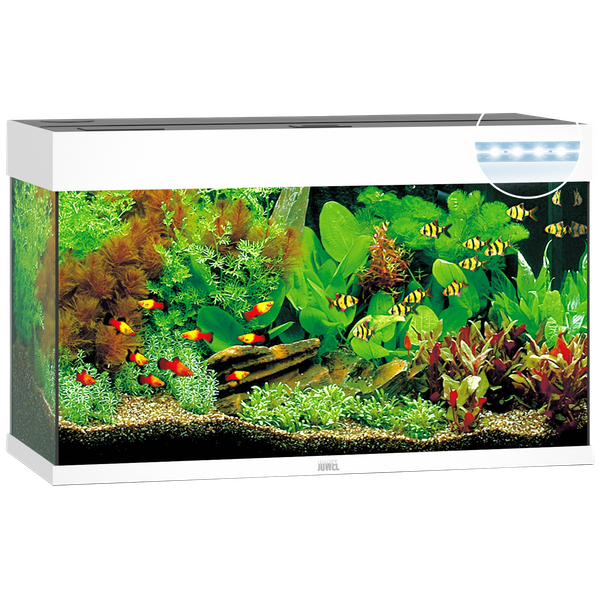 Afbeelding Juwel Aquarium Rio 125 Led 80x35x50 cm - Aquaria - Wit Ca. 125 L door Petsplace.nl