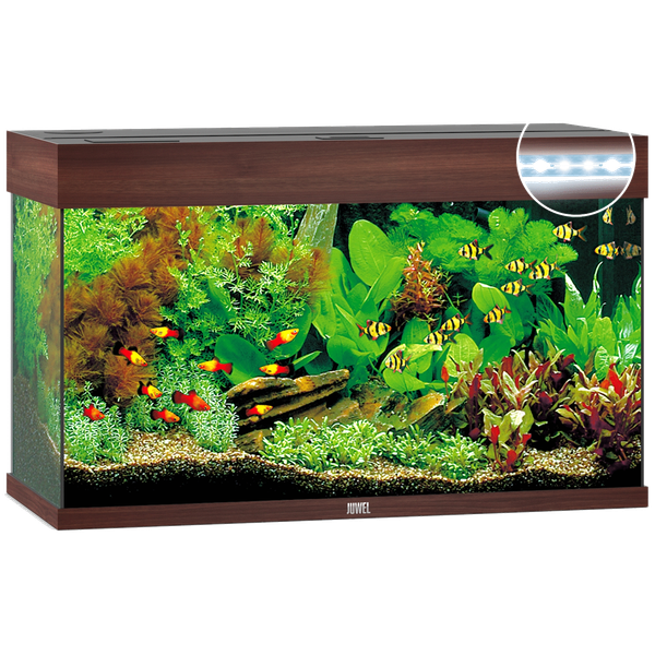 Juwel Aquarium Rio 125 Led 80x35x50 cm - Aquaria - Donkerbruin Ca. 125 L