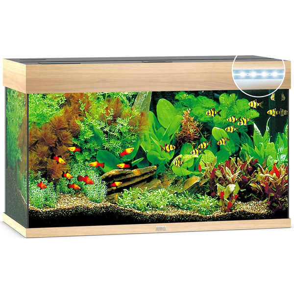 Juwel Aquarium Rio 125 Led 80x35x50 cm - Aquaria - Licht Hout Ca. 125 L