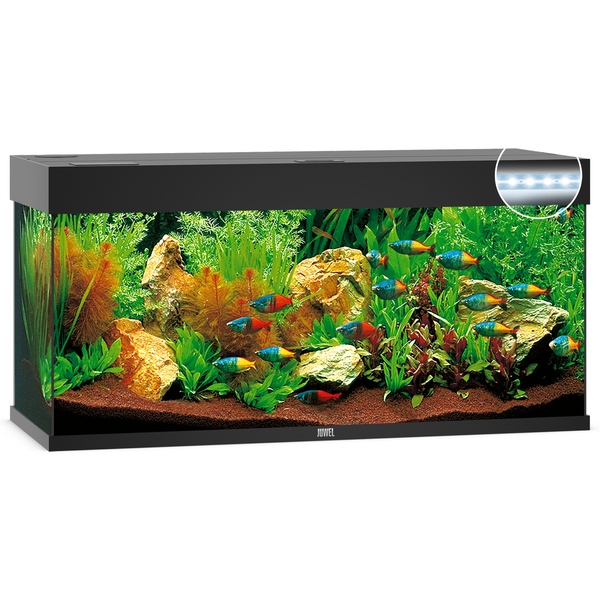 Juwel Aquarium Rio 240 Led 121x41x55 cm - Aquaria - Zwart Ca. 240 L