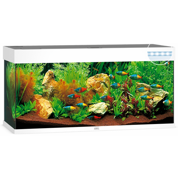 Afbeelding Juwel Aquarium Rio 240 Led 121x41x55 cm - Aquaria - Wit Ca. 240 L door Petsplace.nl