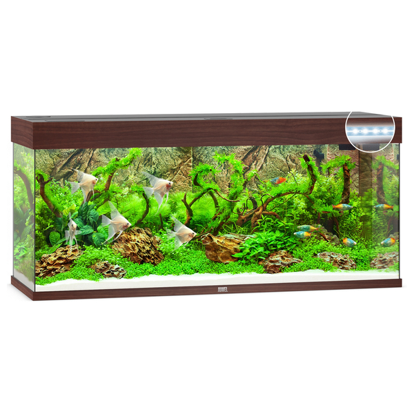 Afbeelding Juwel Aquarium Rio 240 Led 121x41x50 cm - Aquaria - Donker Hout door Petsplace.nl