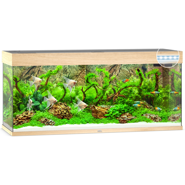 Afbeelding Juwel Aquarium Rio 240 Led 121x41x55 cm - Aquaria - Licht Hout Ca. 240 L door Petsplace.nl