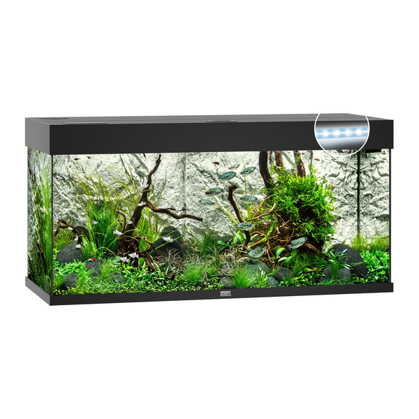 Juwel Aquarium Rio 180 Led 101x41x50 cm - Aquaria - Zwart Ca. 180 L