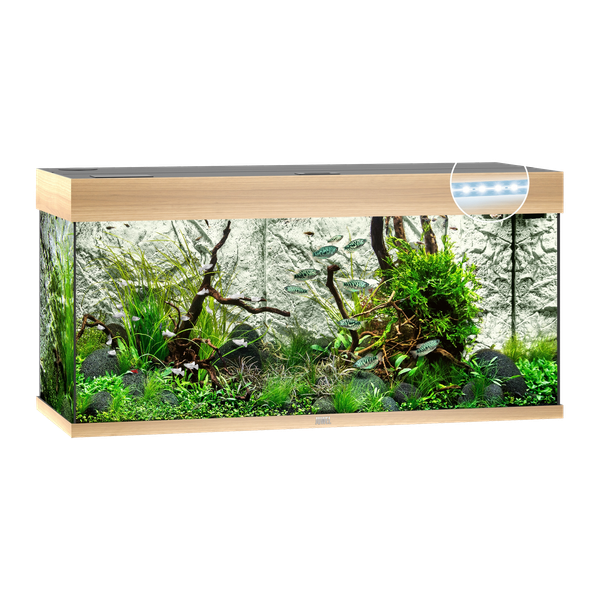 Juwel Aquarium Rio 180 Led 101x41x50 cm - Aquaria - Licht Hout Ca. 180 L