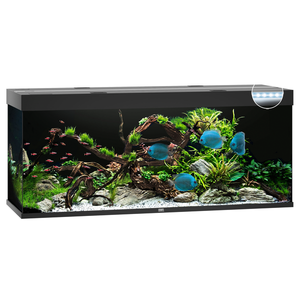 Juwel Aquarium Rio 450 Led 151x51x66 cm - Aquaria - Zwart Ca. 450 L