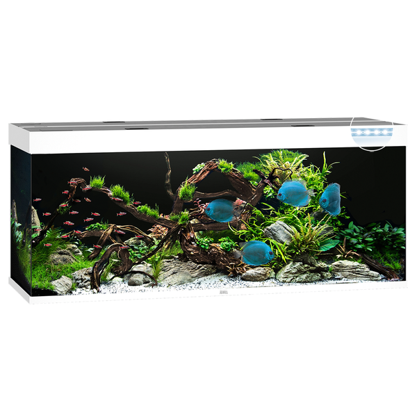 Juwel Aquarium Rio 450 Led 151x51x66 cm - Aquaria - Wit Ca. 450 L