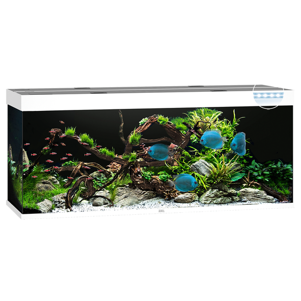 Afbeelding Juwel Aquarium Rio 450 Led 151x51x66 cm - Aquaria - Wit Ca. 450 L door Petsplace.nl