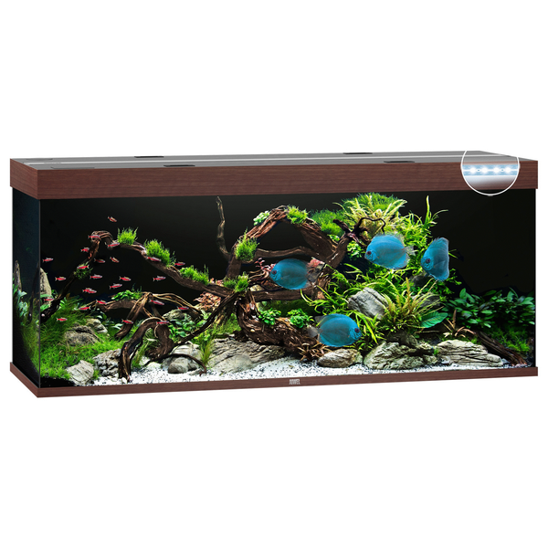 Afbeelding Juwel Aquarium Rio 450 Led 151x51x61 cm - Aquaria - Donker Hout door Petsplace.nl