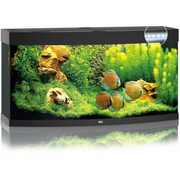 Juwel Aquarium Vision 260 Led 121x46x64 cm - Aquaria - Zwart Ca. 260 L