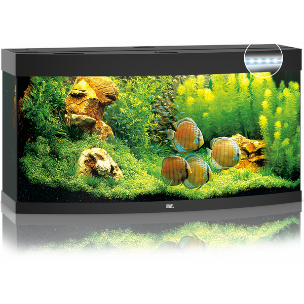 Afbeelding Juwel Aquarium Vision 260 Led 121x46x64 cm - Aquaria - Zwart Ca. 260 L door Petsplace.nl