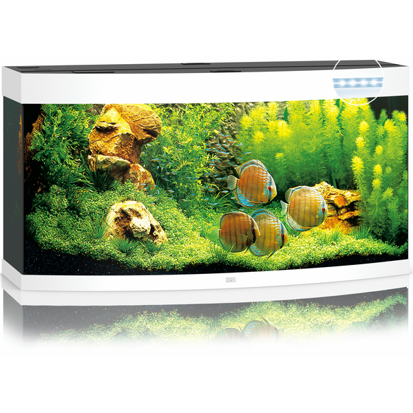 Afbeelding Juwel Aquarium Vision 260 Led 121x46x64 cm - Aquaria - Wit Ca. 260 L door Petsplace.nl