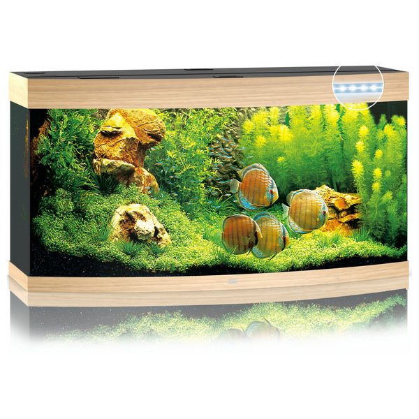 Afbeelding Juwel Aquarium Vision 260 Led 121x46x64 cm - Aquaria - Licht Hout door Petsplace.nl